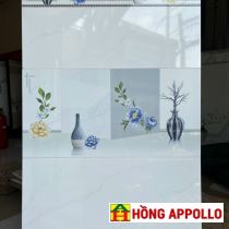 Gạch ốp tường 30x60 trắng xanh